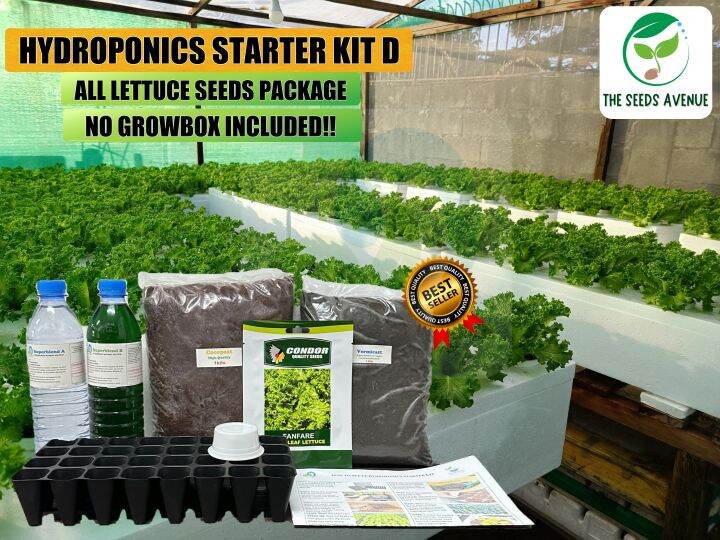 HYDROPONICS STARTER KIT D (LETTUCE SEEDS) FOR BEGINNERS/READY TO USE