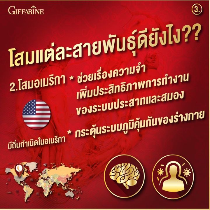 โสม-โสมแดง-ทรีจี-จินเส็ง-จินเซ็ง-3g-กิฟฟารีน-สกัดจากโสมแดงเกาหลี-ginseng-giffarine