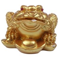 Chinese Feng Shui Money Lucky Fortune Wealth Frog Toad Coin Home Decoration Home Office Decoration Lucky Gifts