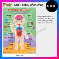 โปสเตอร์กระดาษ โปสเตอร์หัดอ่าน MY INNER BODY อวัยวะภายในของฉัน EQ-481อวัยวะภายใน 2 ภาษา อังกฤษ ไทย โปสเตอร์ HOT !!