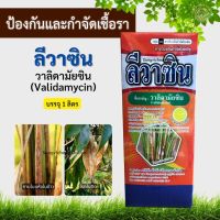 วาลิดามัยซิน (validamycin) ลีวาซีน (1ลิตร) ป้องกันกำจัดโรคกาบใบแห้ง กาบใบเน่า คอรวงเน่าในข้าว กำจัดโรคพืช ป้องกันเชื้อรา