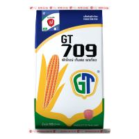 เมล็ดพันธุ์ข้าวโพดเลี้ยงสัตว์ GT 709/M (3.5 หุน) ขนาด 10 กก.