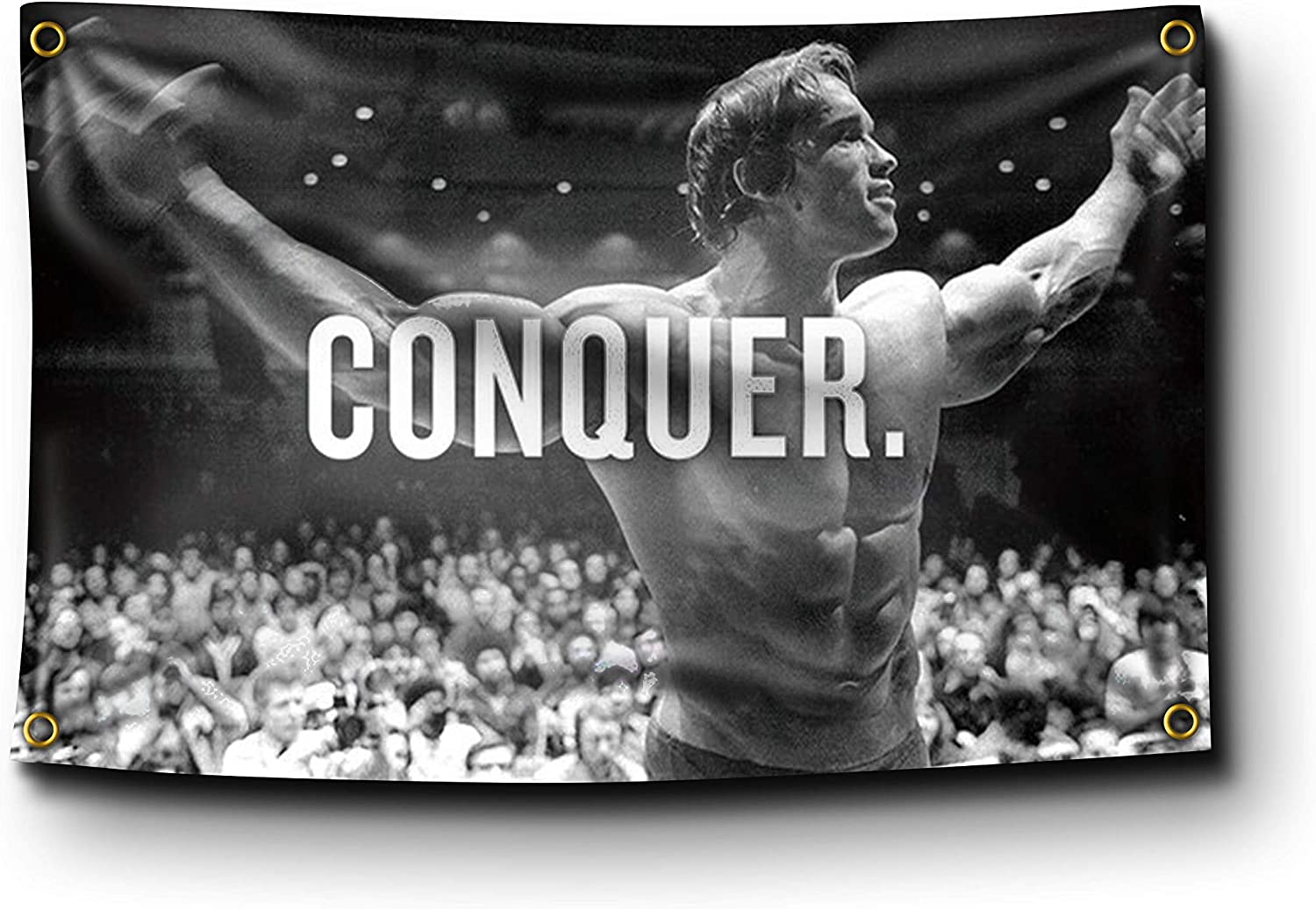 arnold schwarzenegger conquer flag