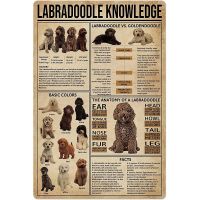 Labradoodle Knowledge ป้ายโลหะ-Dog Anatomy สีข้อเท็จจริงโปสเตอร์ดีบุกสำหรับ Pet Shop Club Home Kitchen โรงรถ Wall Plaque-8X12นิ้ว