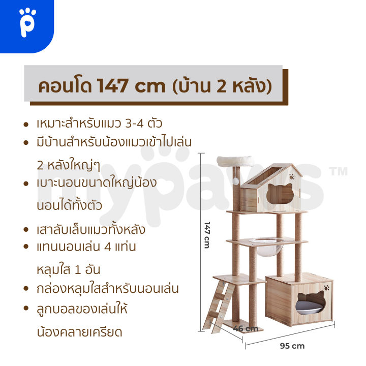 my-paws-คอนโดแมว-2-หลุม-แบบไม้-สูง-165-cm-และ-135-cm-พร้อมโดมนอนแบบใสและบันได-เสาลับเล็บทั้งต้น