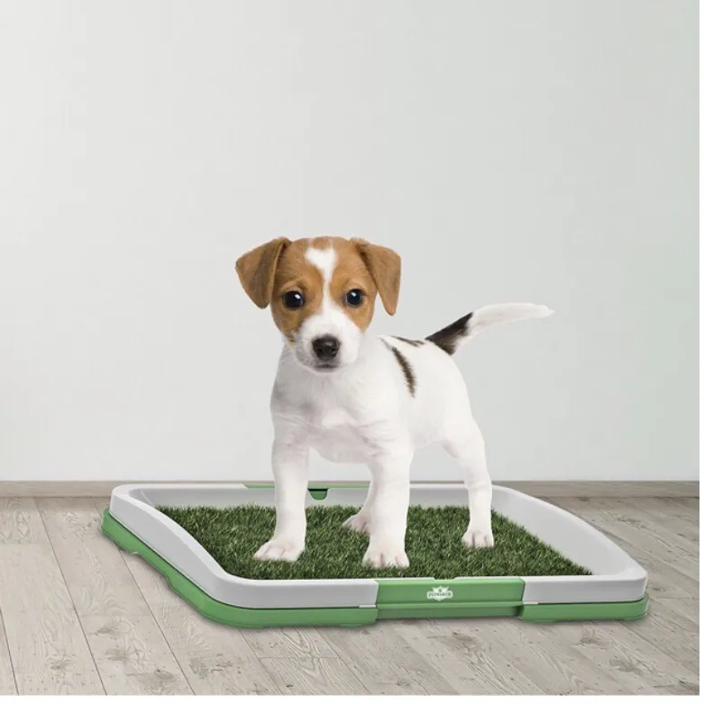 Perfect pets 2025 puppy potty pad