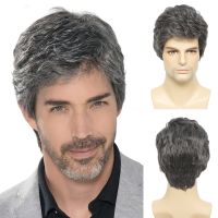 BCHR Mens Wigs Short Mens Wig Layered Hair Costume Resistant Synthetic Men Male