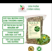 CÂY RAU MƯƠNG KHÔ TỰ NHIÊN SACH KHÔNG THUỐC TRỪ SÂU KHÔNG PHÂN BÓN HOÁ HỌC