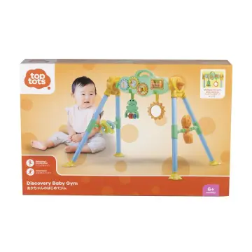 Toys r hot sale us play gym