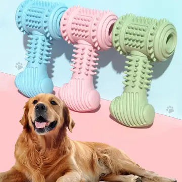Arm & Hammer Ora-Play Dental Chicken Flavor Dog Bone Toy 