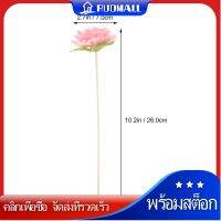 RUDMALL 5pcs อโรมาเธอเซอร์ฟวอนเซอร์กกดอกอโรมาเธอบำบัดการทำดอกไม้