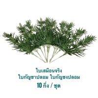 ใบกัญชงปลอม ใบกัญชาปลอม ใบเสมือนจริงพร้อมดอก แพ็คละ 10 ช่อ