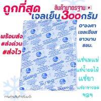 SW ถูกที่สุด‼️ [แพค 3ชิ้น] เจลเก็บความเย็น 300กรัม Ice Pack 300g อุณหภูมิ 0cํ แช่อาหาร แช่ของสด แช่น้ำนม เก็บรักษาอุณหภูมิ เก็บความเย็น