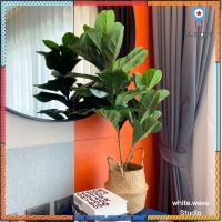 ต้นไทรใบสัก (fiddle fig leaf) สูง 100 CM ต้นไม้ประดิษฐ์​ ต้นไทรถูก ต้นไม้ปลอม สินค้ามีจำนวนจำกัด