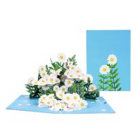 3D Pop up Greeting Card Little Message Board Envelop Party Congratulation Cards Mother Father Gift Accessories