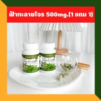 1 free 1 Amwoll Green Chiretta ฟ้าทลายโจร 500 มิลลิกรัม 1 กระปุก จำนวน 50 เม็ด พร้อมส่ง