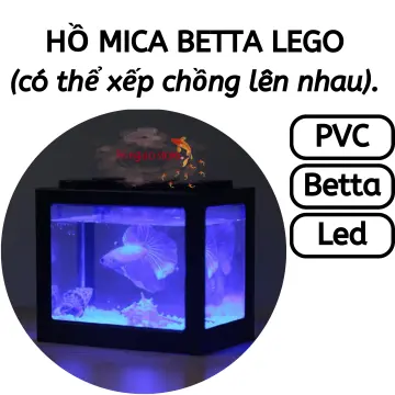 Hồ bể kính mini ĐÔI 2 ngăn để bàn nuôi cá Betta size 14x12x20 cm