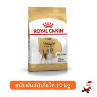 ส่งฟรีทุกชิ้นทั่วไทย  Royal Canin Beagle Adult(12 kg.) อาหารสุนัขบีเกิ้ล 10 เดือนขึ้นไป 12 กิโลกรัม