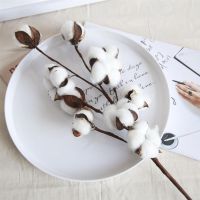 【CC】 Artificial Dried Cotton Flowers Branch Wedding Decoration Fake Eucalyptus LeavesTH