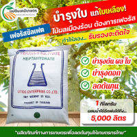 ผงจุลธาตุเหล็ก FerousSulfate Monohydrate (30%) ขนาดบรรจุ 25 กิโลกรัม มีความสำคัญในกระบวนการสังเคาระห์แสงของพืช และมีความจำเป็นต่อการทำงานของเอนไซม์หลายชนิดในพืช