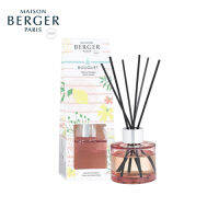 Maison berger,mini bouquet Tonic Lemon Riviera,เซ็ทก้านกระจายความหอมกลิ่นซิทรง โทนิค,reed diffuer ขนาดมินิ,น้ำหอมฝรังเศส