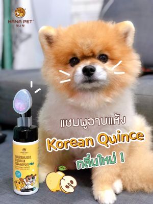 แชมพูอาบแห้ง สุนัขและแมว (Hana Pet Waterless Bubble Shampoo) ขนาด 130ml /กลิ่น Korean Quince