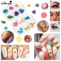 Monja กลีบดอกไม้แห้ง 3D สีธรรมชาติ สําหรับตกแต่งเล็บเจล UV DIY