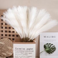 Artificial Pampas Dried Reed Fluffy Faux for Vase Bedroom Wedding Indoor Decoration