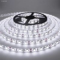 ☈ DC 12V LED Strip Light Kit SMD 2835 White 6000K LED Lighting Strip Set Tape 10M 5M Waterproof Tape Light Led Strips Home Decor