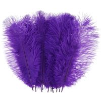 10Pcs Ostrich Feather Multi-Color Ostrich Feather Plume Decorative Pink Gold Purple Feather Craft Fashion DIY Large Feather