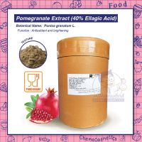 Pomegranate Extract (40% Ellagic Acid) สารสกัดทับทิม มีฤทธิ์ต้านอนุมูลอิสระ อุดมด้วยสารกลุ่มโพลีฟีนอลที่ดีต่อผิวพรรณ