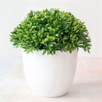 ✗ 1Pcs 14cm Mini Artificial Plants Potted for Indoor Home Table Bedroom Decor Wedding Decoration Garden Outdoor DIY Pot With Basin