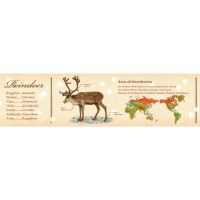 mt encyclopedia reindeer (MTCMAS127) / เทปตกแต่งวาชิ ลาย encyclopedia reindeer แบรนด์ mt masking tape จากประเทศญี่ปุ่น