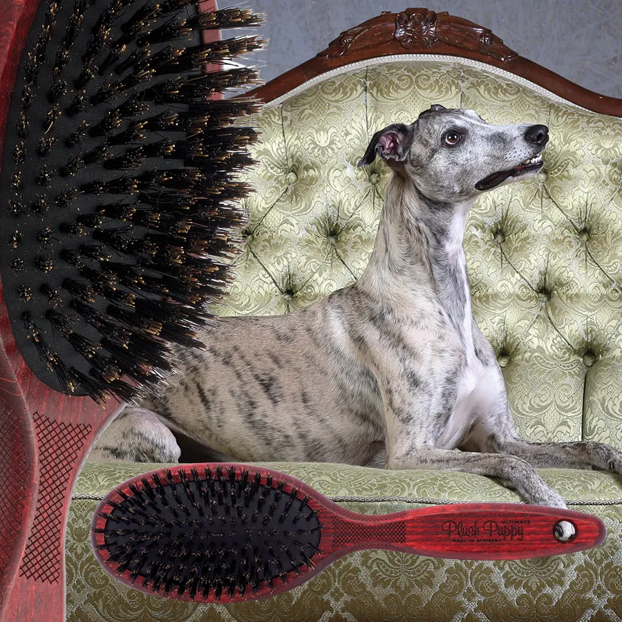 Plush puppy outlet brush