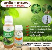 เลาดิส+ฮาสเทน 250ml.+ 500ml. เทมโปรไตรโอน กำจัดหญ้า วัชพืช ข้าวโพดผี ข้าวฟ่างผี ในไร่ข้าวโพด allaboutplants