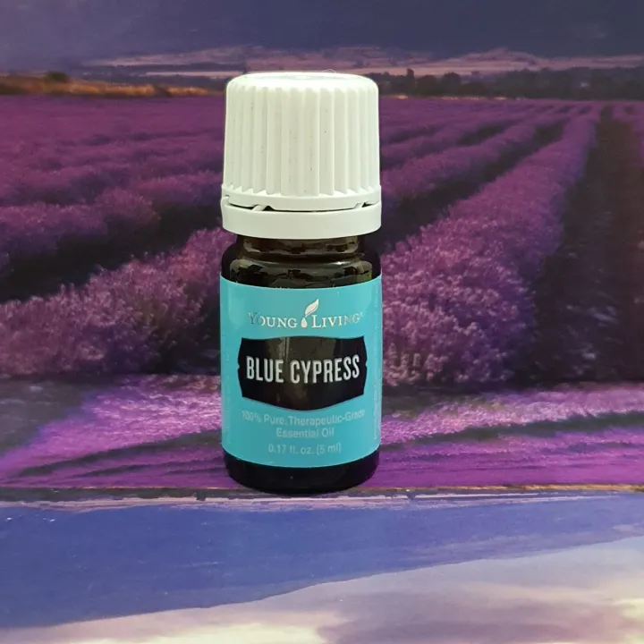 5ml Blue Cypress Essential Oil Lazada PH
