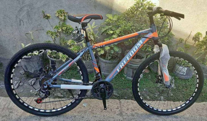 freedom mountain bike price