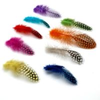 50pcs 5-10cm Pheasant Feather Plumas Plumes Jewelry Creation Colored Feathers for Catchers Decorations Crafts