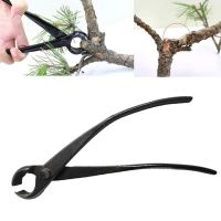 【LZ】 Professional Plant Branch Cutter Round Edge Bonsai Tree Trim Pliers Garden Tool