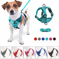 No Pull Dog Harness and Leash Set Adjustable Pet Harness Vest For Small Dogs Cats Reflective Mesh Dog Chest Strap French Bulldog Collars