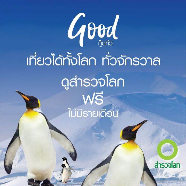 ส่งฟรี-กล่องดาวเทียม-good-tv-ดูสำรวจโลก-hd-ฟรี-ใช้จานทึบ-ku-band