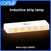 CoRui Motion Sensor Night Light USB Rechargeable Closet LED Warm Lights 6 LED Stair Cabinet Induction Sensor Night Lights Lamp