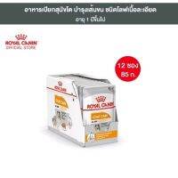 Royal Canin Coat Care Pouch Loaf อาหารเปียกสุนัขโต ทุกขนาด บำรุงเส้นขน[ยกกล่อง 12 ซอง]