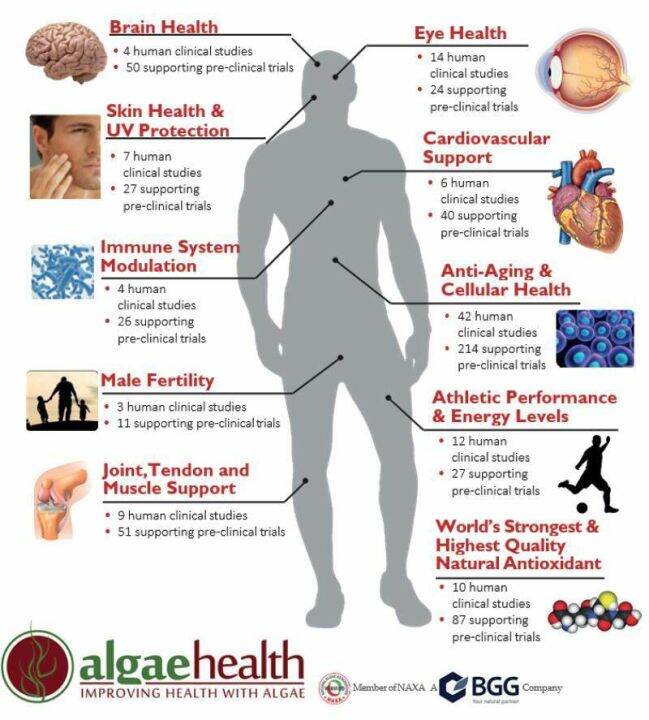 สาหร่ายแดง-แอสต้าแซนธิน-astaxanthin-12mg-60-quick-release-softgels-pipingrock-piping-rock