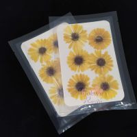 ดอกคาเลนดูล่า Calendula ดอกไม้ทับ/ดอกไม้ทับแห้ง เรซิ่น resin sakuraresin