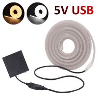 USB Battery LED Neon Strip Light DC 5V 2835 120LEDs/m Flexible Silicone Light Outdoor Waterproof LED Tape TV Backlight Decor