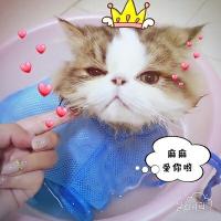 Cat bath artifact special kitten clipping nails anti-scratch bite bag supplies cat bath cat wash cat bag