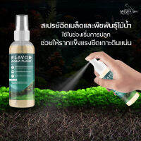 FLAVOR AQUA PLANT 100ML สเปรย์ฉีดเมล็ดและพืชพรรณไม้น้ำ ใช้ในช่วงเริ่มการปลูก ช่วยให้รากแข็งแรงยึดเกาะดินแน่น