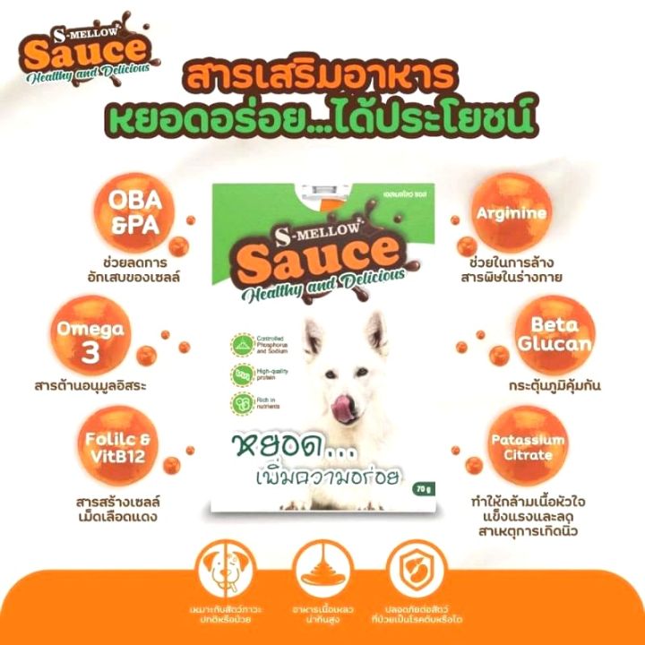 42pets-s-mellow-sauce-ช่วยเสริมสร้างภูมิ-และ-เพิ่มความอยากอาหาร-รสปลาทูน่าและแกะ-70-กรัม-เอสเมลโลว์-ซอส