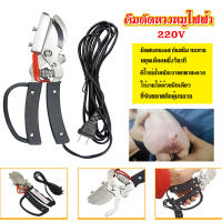 กรรไกรตัดหางหมู 220V คีมตัดหางลูกสุกรด้วยความร้อนไฟฟ้า ฟาร์มสุกร อุปกรณ์ฟาร์ม